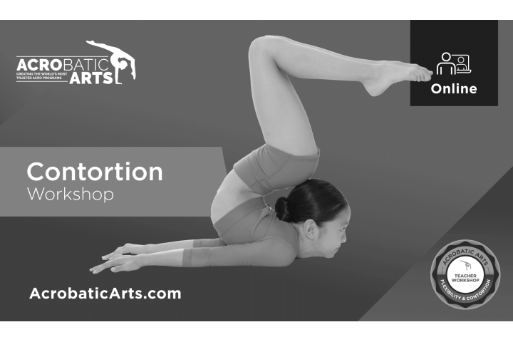 Contortion Workshop